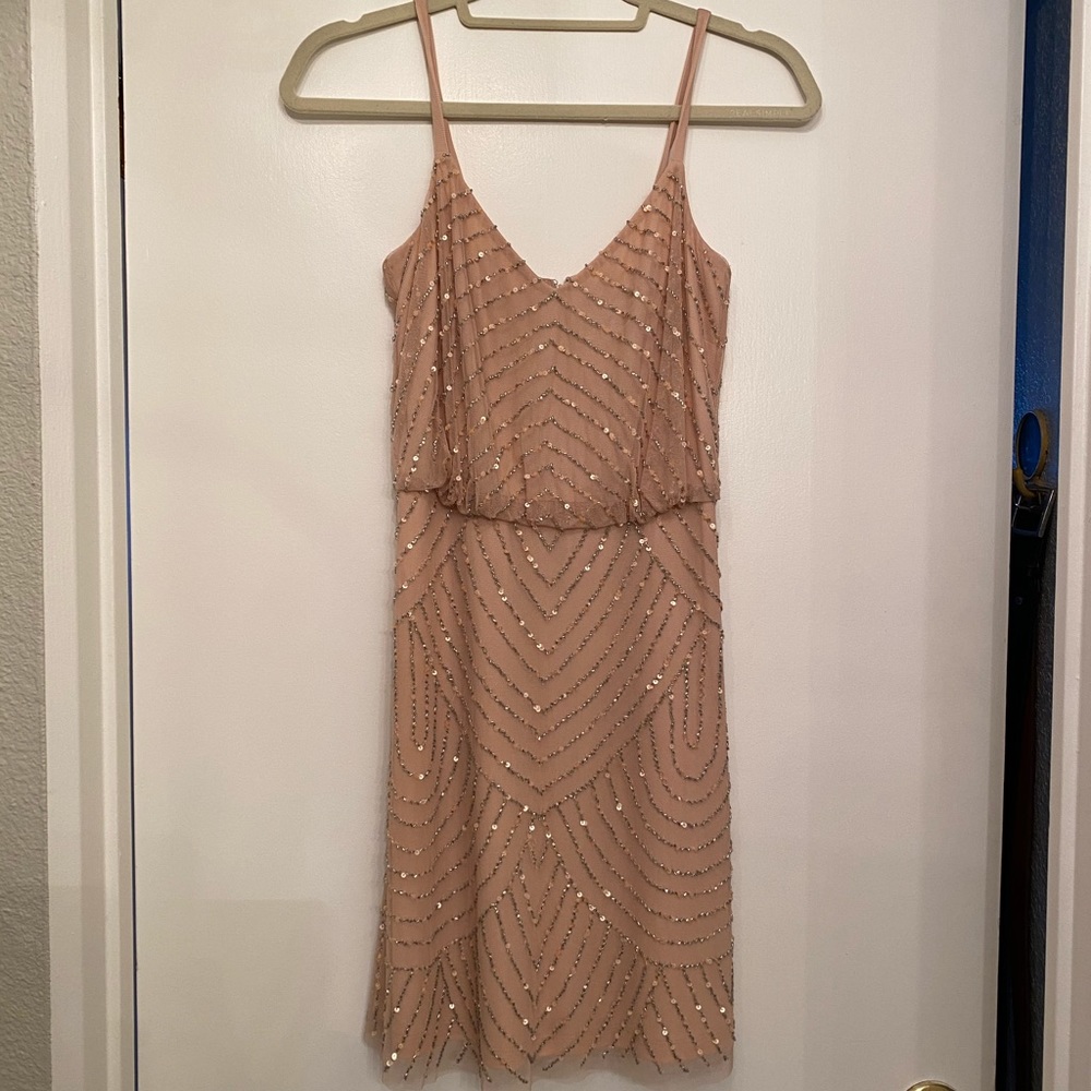 Adrianna Papell Beaded Dress in Blush